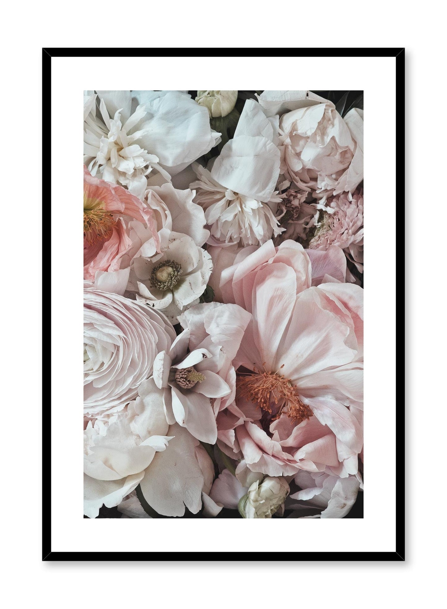 Petals Petals Petals, Poster