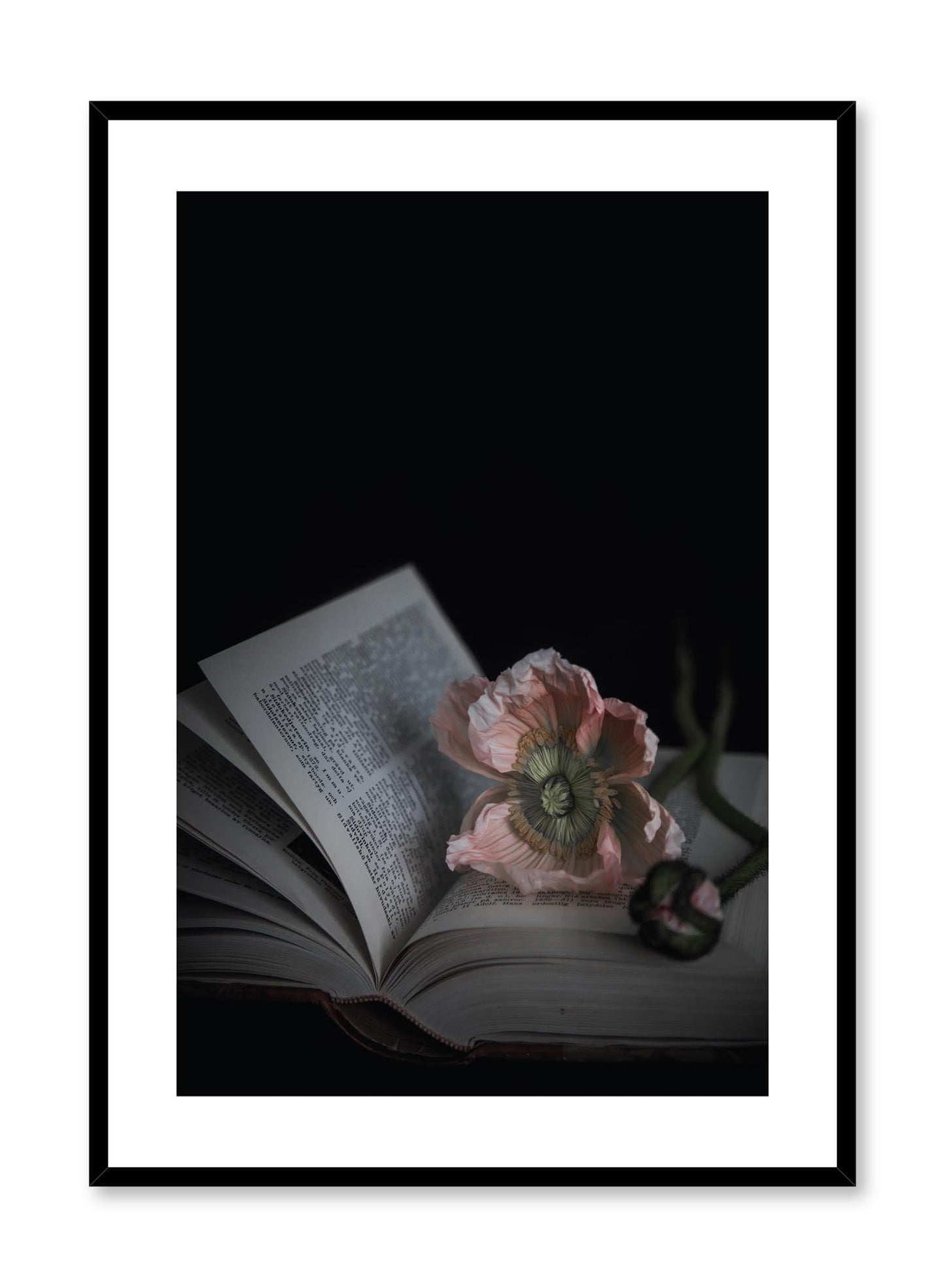 Flowermark, Poster