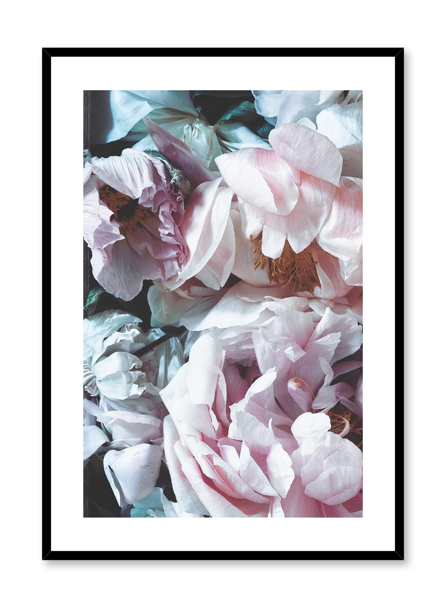 Droopy Petals, Poster