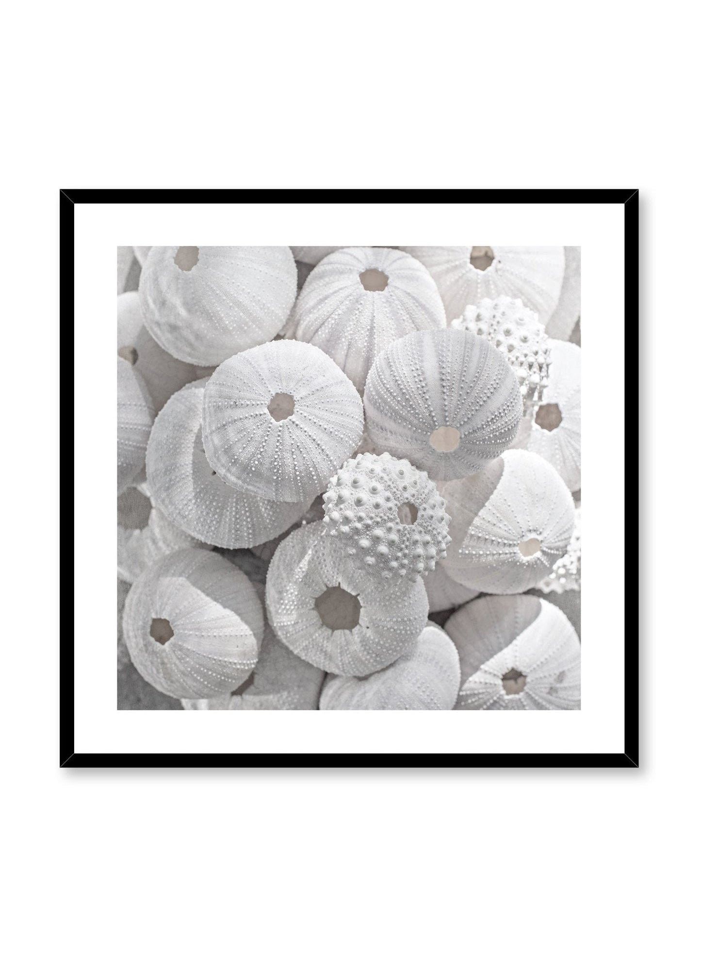 Sea Treasures, Poster
