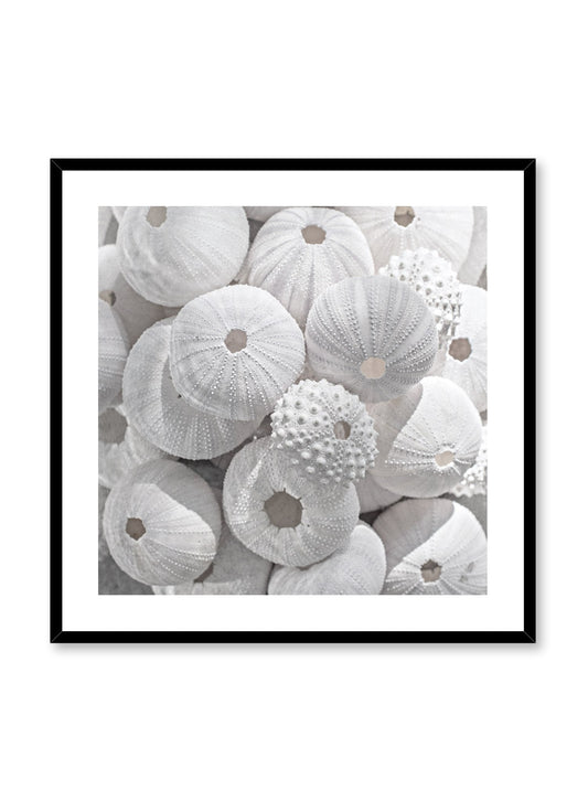 Sea Treasures, Poster